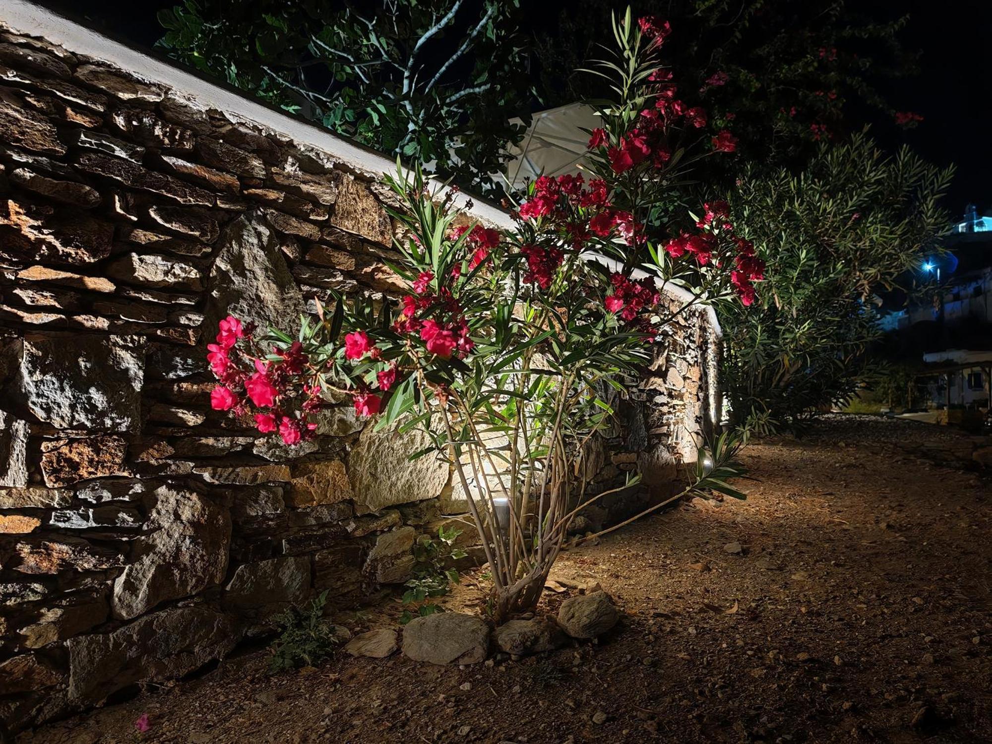 Diana'S Luxury Suites Kýthnos Eksteriør bilde