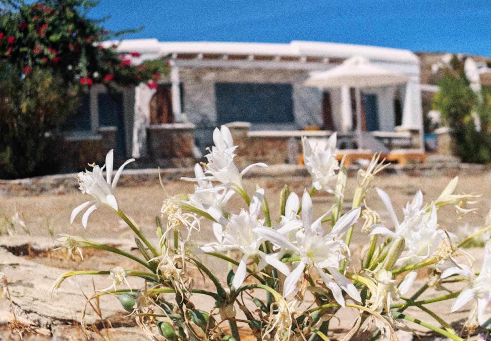 Diana'S Luxury Suites Kýthnos Eksteriør bilde